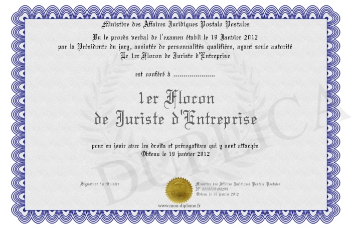 diplome juriste d&rsquo;entreprise